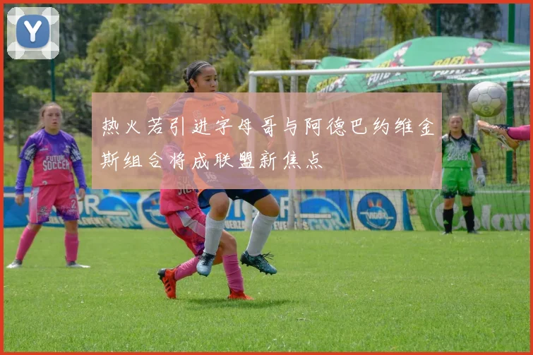 热火若引进字母哥与阿德巴约维金斯组合将成联盟新焦点